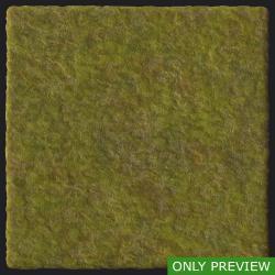 PBR Texture of Moss